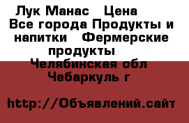 Лук Манас › Цена ­ 8 - Все города Продукты и напитки » Фермерские продукты   . Челябинская обл.,Чебаркуль г.